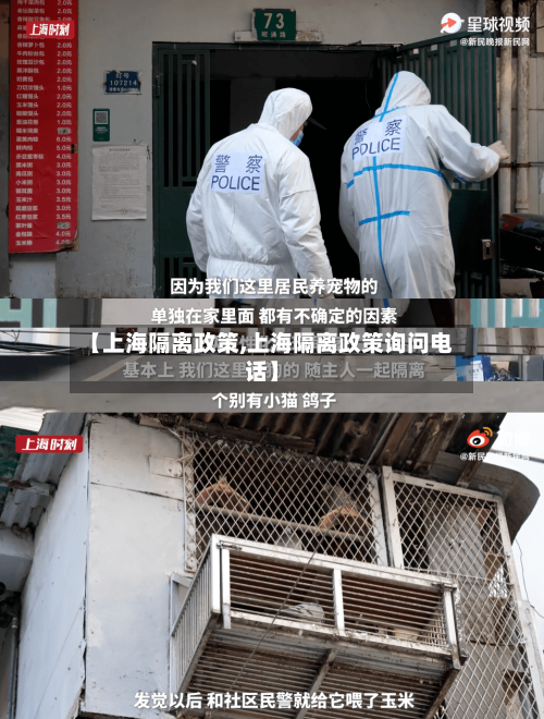【上海隔离政策,上海隔离政策询问电话】-第2张图片