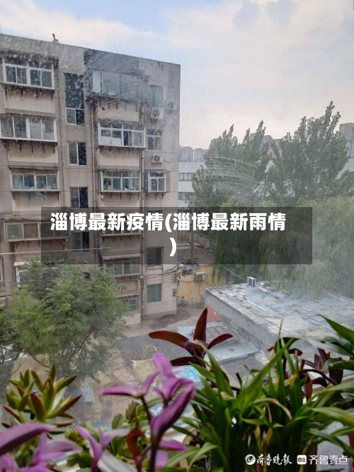 淄博最新疫情(淄博最新雨情)-第2张图片