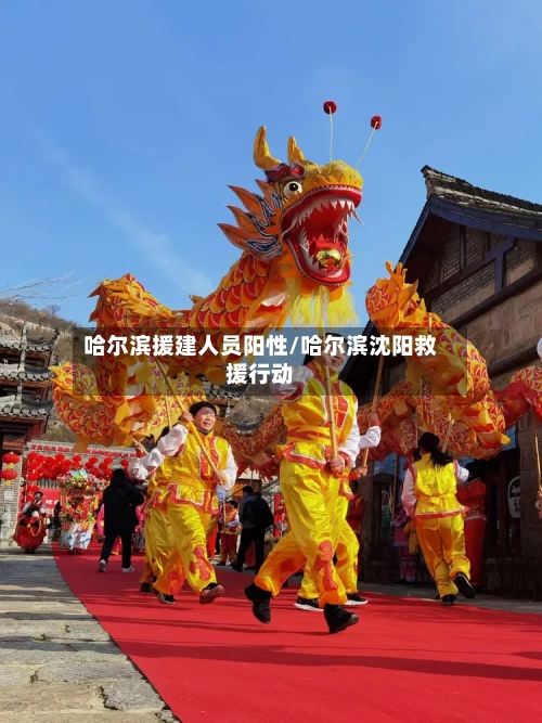 哈尔滨援建人员阳性/哈尔滨沈阳救援行动