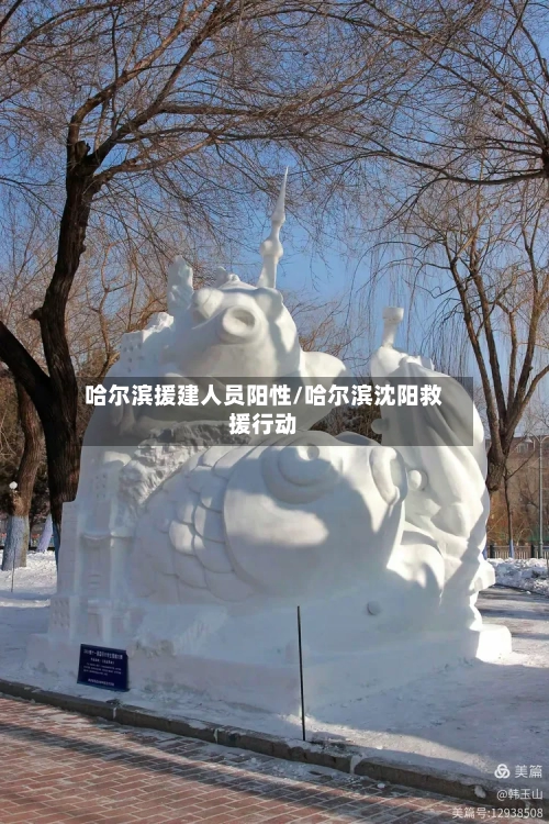 哈尔滨援建人员阳性/哈尔滨沈阳救援行动-第2张图片