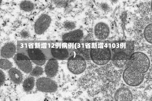 31省新增12例病例(31省新增4103例)