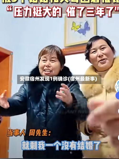 安徽宿州发现1例确诊(宿州最新事)-第2张图片