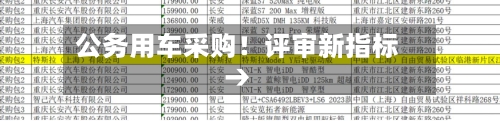 公务用车采购！评审新指标→-第3张图片