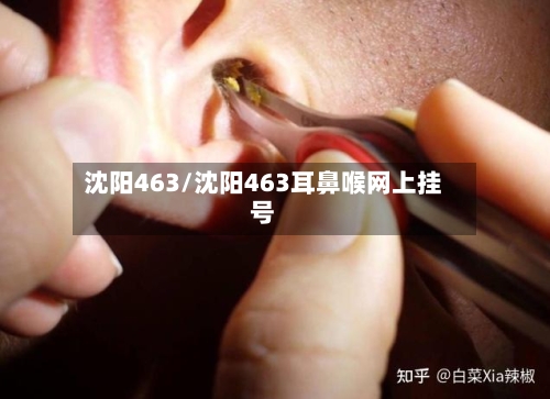 沈阳463/沈阳463耳鼻喉网上挂号-第2张图片