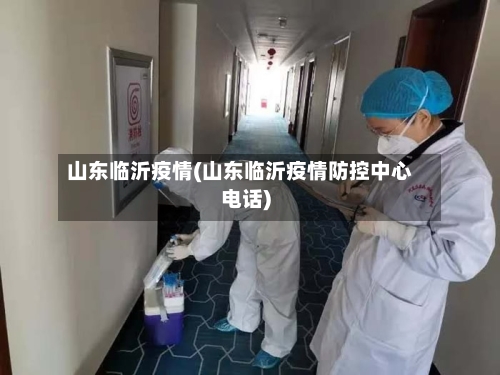 山东临沂疫情(山东临沂疫情防控中心电话)-第2张图片