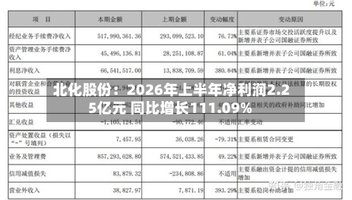北化股份:2026年上半年净利润2.25亿元 同比增长111.09%-第3张图片
