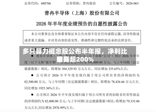 多只算力概念股公布半年报，净利比较高增长超200%-第2张图片