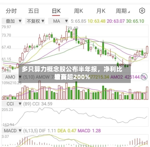 多只算力概念股公布半年报，净利比较高增长超200%-第3张图片