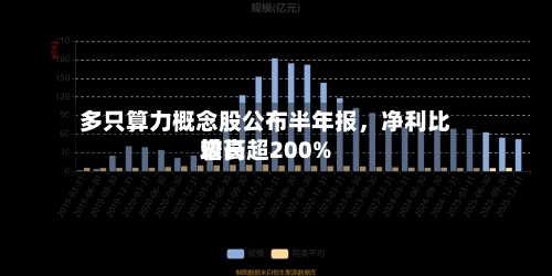 多只算力概念股公布半年报，净利比较高增长超200%