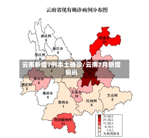 云南新增7例本土确诊/云南7月新增病例