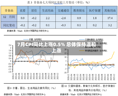 7月CPI同比上涨0.5% 总体保持温和上涨