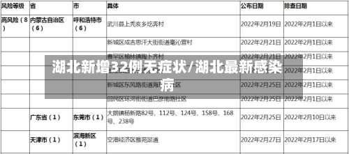 湖北新增32例无症状/湖北最新感染病-第2张图片
