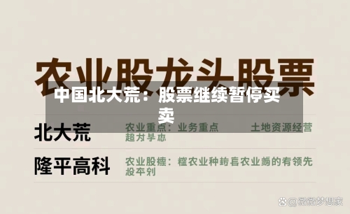 中国北大荒：股票继续暂停买卖-第2张图片