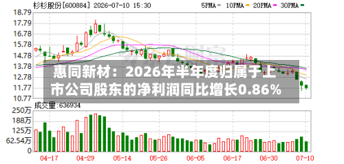 惠同新材：2026年半年度归属于上市公司股东的净利润同比增长0.86%-第2张图片