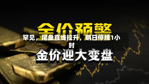 罕见	，尾盘直线拉升，明日停牌1小时-第3张图片