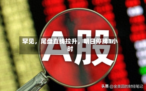 罕见，尾盘直线拉升	，明日停牌1小时-第2张图片