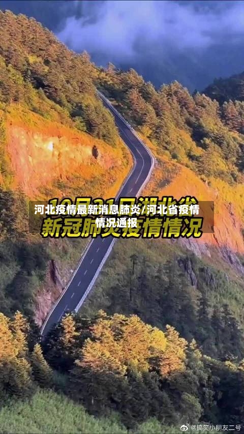河北疫情最新消息肺炎/河北省疫情情况通报-第3张图片