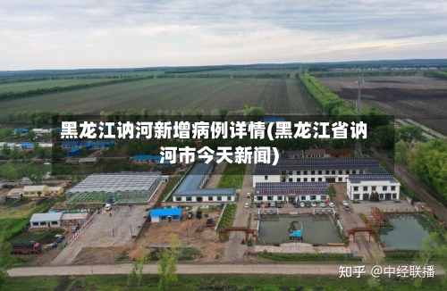 黑龙江讷河新增病例详情(黑龙江省讷河市今天新闻)