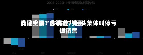 光伏上游“自杀式	”费用战迎终局？多晶硅八巨头集体叫停亏损销售-第2张图片