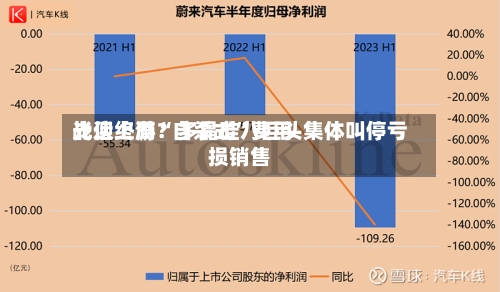 光伏上游“自杀式”费用战迎终局？多晶硅八巨头集体叫停亏损销售