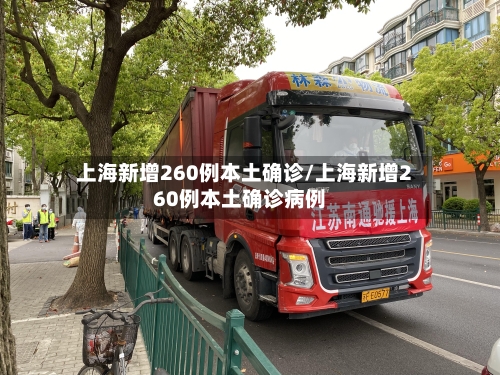 上海新增260例本土确诊/上海新增260例本土确诊病例