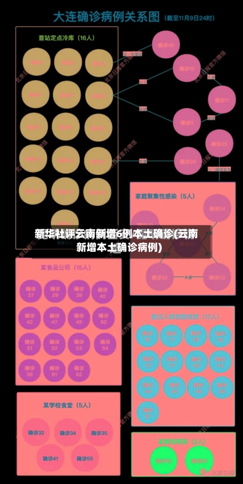 新华社评云南新增6例本土确诊(云南新增本土确诊病例)-第3张图片