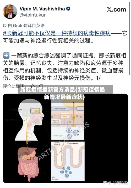 新冠疫情最新官方消息(新冠疫情最新情况最新症状)-第2张图片