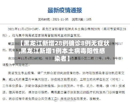 【黑龙江新增28例确诊8例无症状,黑龙江新增1例本土病毒阳性感染者】-第2张图片