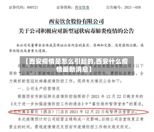 【西安疫情是怎么引起的,西安什么疫情最新消息】-第2张图片