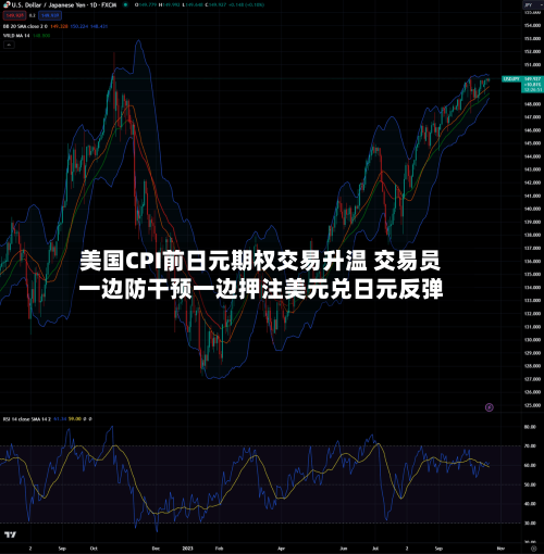 美国CPI前日元期权交易升温 交易员一边防干预一边押注美元兑日元反弹-第2张图片