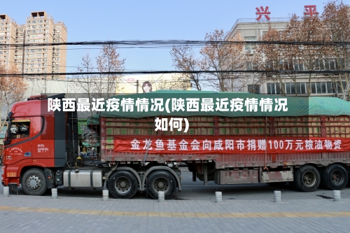 陕西最近疫情情况(陕西最近疫情情况如何)-第3张图片