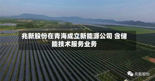 兆新股份在青海成立新能源公司 含储能技术服务业务-第2张图片