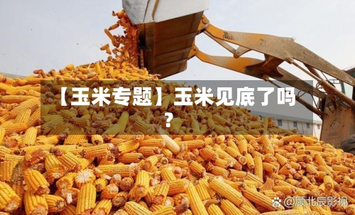 【玉米专题】玉米见底了吗?-第3张图片