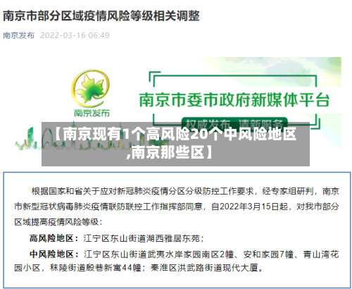 【南京现有1个高风险20个中风险地区,南京那些区】