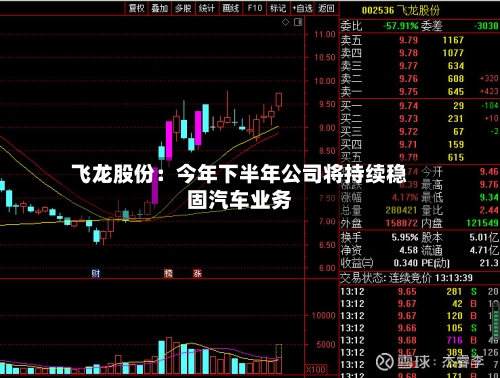 飞龙股份：今年下半年公司将持续稳固汽车业务