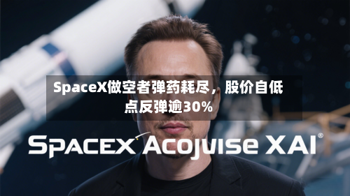 SpaceX做空者弹药耗尽，股价自低点反弹逾30%-第2张图片