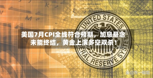 美国7月CPI全线符合预期，加息悬念未能终结	，黄金上演多空双杀！-第2张图片