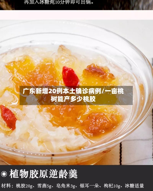 广东新增20例本土确诊病例/一亩桃树能产多少桃胶-第2张图片