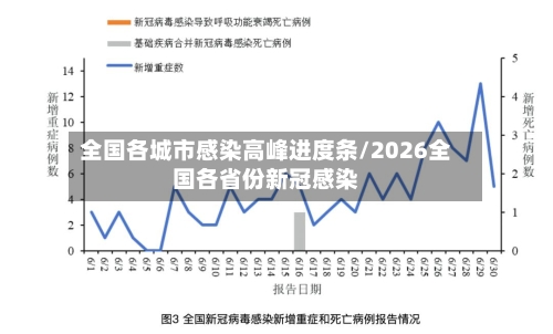 全国各城市感染高峰进度条/2026全国各省份新冠感染-第3张图片