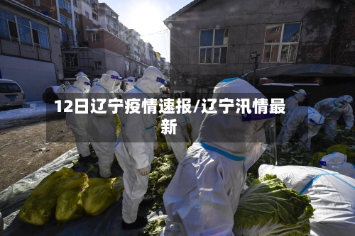 12日辽宁疫情速报/辽宁汛情最新