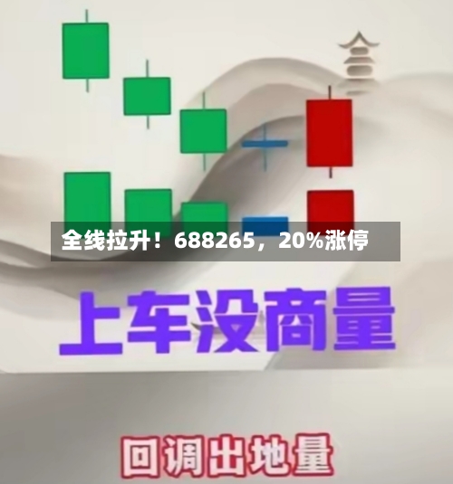 全线拉升！688265，20%涨停-第2张图片