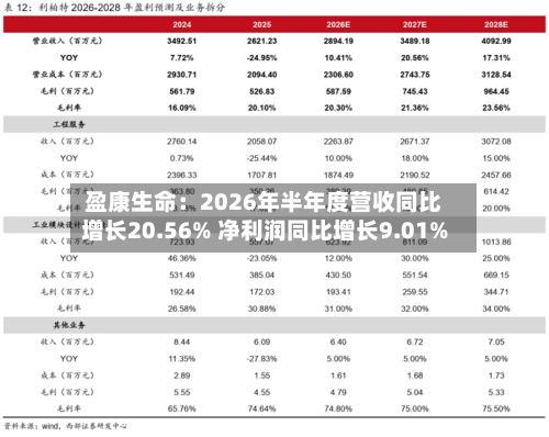 盈康生命：2026年半年度营收同比增长20.56% 净利润同比增长9.01%