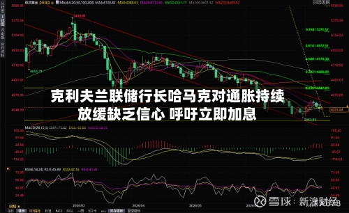 克利夫兰联储行长哈马克对通胀持续放缓缺乏信心 呼吁立即加息
