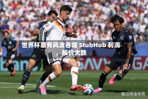 世界杯票务风波吞噬 StubHub 利润，股价大跌