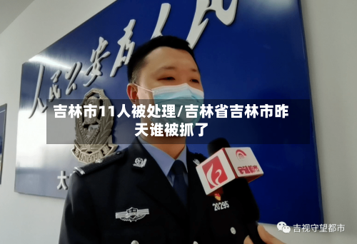 吉林市11人被处理/吉林省吉林市昨天谁被抓了