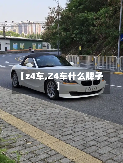 【z4车,Z4车什么牌子】