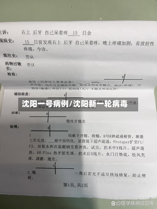 沈阳一号病例/沈阳新一轮病毒