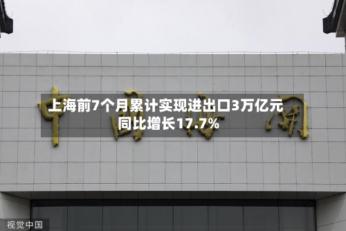 上海前7个月累计实现进出口3万亿元 同比增长17.7%