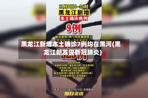 黑龙江新增本土确诊7例均在黑河(黑龙江新发现新冠肺炎)