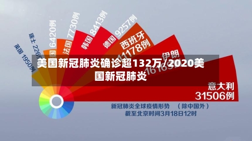 美国新冠肺炎确诊超132万/2020美国新冠肺炎-第3张图片
